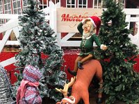 The little girl thought that this one-antler reindeer was in fact, a dog (Pluto) and I can see why!