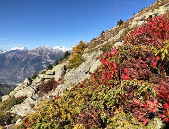 11 October - Nendaz to Tracouet