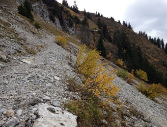 23 October 2019 - Sautodoz (RdN)