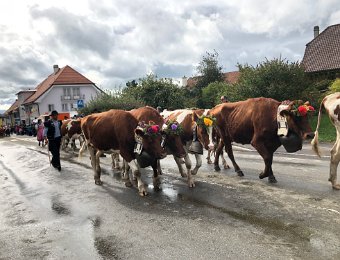 5 October - Desalpe at Semsales