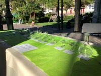 the right glass for every occasion