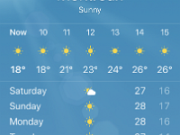 in view of our upcoming trip