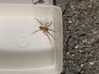 I will admit that it looks fearsome