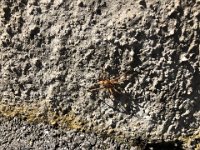 I agree that it would be better if it stayed outside