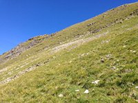 the ridge top was pretty rough but one ought to be able to traverse here