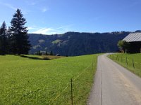 down through the hayfields of Lauenen
