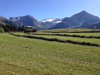 Swiss farm machinery with Wildstrubel in the back left