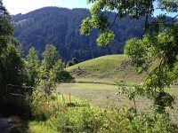 farmerwomen raking the hay
