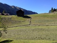 don't let any go to waster