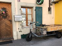 in its natural habitat