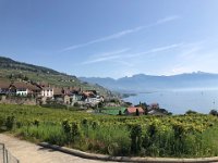 Rivaz as an exemplary village