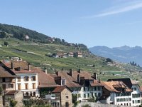 15 September Journee du Patrimoine on Lavaux and Vevey