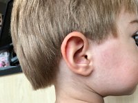 There was an ear hiding under that mop!