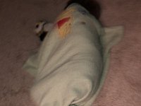 He was down for the count