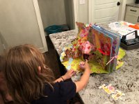 straight from Strasbourg or somewhere nearby