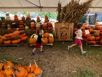 strict rules however