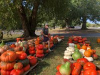 and me staying out of the way