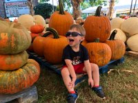 wow, so much to look at!