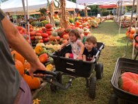 time to corral the wild beasts