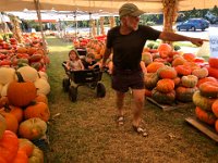 they get a wagon tour