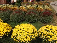 what they were looking at