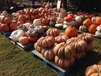 Love these deep grooves