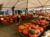 16-30 September in Nashville