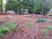 where the garage will be built. Lumber milled from trees on the lot under tarp