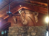 The common space at the Crater Club