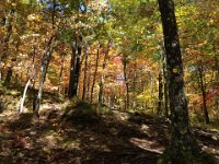 Jeff and I went on a test hike up Bucks Mountain