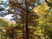 Fall colors have started