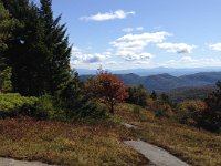 Lots of rock, little soil