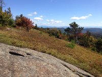 soil development over the slab, VT in the distance
