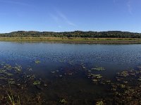 there is a shipping canal on the far side of the marshy island in front of us