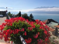 momentarily distracted by the view