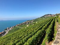 this view matches those given for Le Pâquis