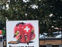 our very own far-right fanatic party