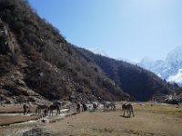 Looking for something to eat