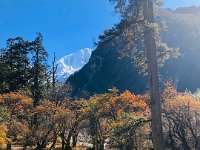 Following the river down into the forested zone