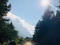 The trail begins to resemble a road