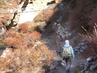 Small ruminants herded by small people