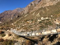 Across the bridge they go