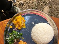 Which looked like this before the lentil sauce was applied