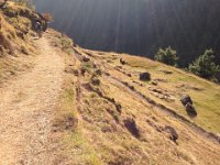 Back in Chumling the harvest continues