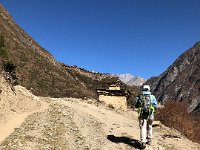 This looks a lot like a road made by a tractor, perhaps?