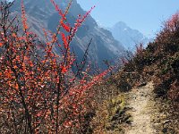 Fall colors and blue sky