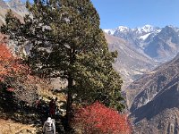 Nearly to the oldest buildings