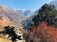 A great place for prayer flags
