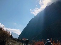 Pack trains from Tibet