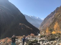 Bri is scanning for wildlife